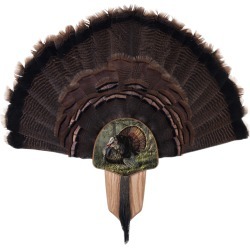 Walnut Hollow Turkey Display Kit with King of Spring Image