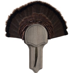 Walnut Hollow Deluxe Turkey Display Kit, Rustic Finish