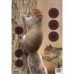 Birchwood Casey Pregame Squirrel Target, 8 Pk.