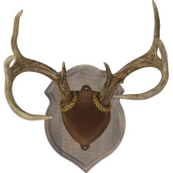 Walnut Hollow Deluxe Antler Kit, Solid Wood with Rustic Finish