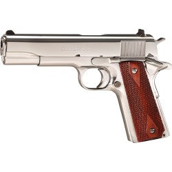 Colt Government Handgun