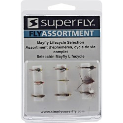 Superfly Fly Fishing Mayfly Lifecycle Assortment