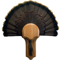 Walnut Hollow Deluxe Turkey Display Kit, Solid Cherry