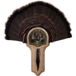 Walnut Hollow Deluxe Turkey Display Kit with Drumsticks Image