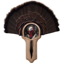 Walnut Hollow Deluxe Turkey Display Kit with Turkey Profile Image