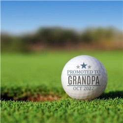 Personalized Promoted to Grandpa Golf Ball Set by Gifts For You Now