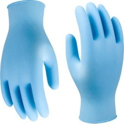 Best Glove X-Large Nitrile Powder-Free Economy Grade Disposable Gloves (Best Glove 7500PFXL)