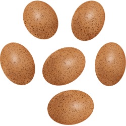 Sensory Sound Eggs