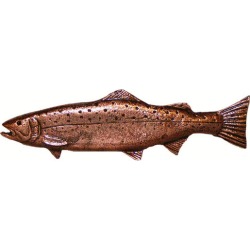 Buck Snort Hardware Long Trout, Nickel