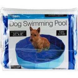 Dog Swimming Pool