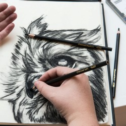 12 Count Charcoal Pencils