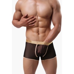 Sheer Nylon Male Sexy Panties