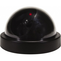First Alert Motion Activated Blk Decoy Camera W/led PRO-DC3