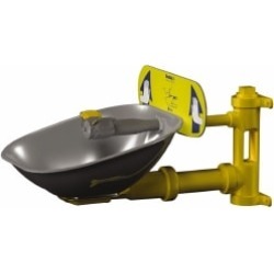 Bradley Wall Mount, Plastic Bowl, Eye and Face Wash Station 1/2 I