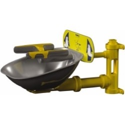 Bradley Wall Mount, Plastic Bowl, Eye and Face Wash Station
