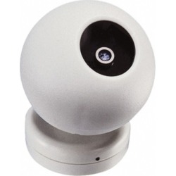 Speco Indoor and Outdoor Ball Camera 3.6mm Lens, 420 Resolution L