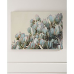 "Succulent 2" Photograph Print on Maple Box Art
