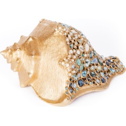 Oceana Conch Shell
