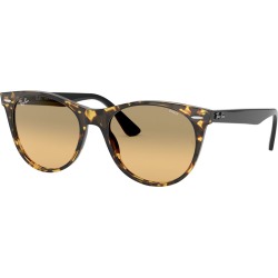 Square Acetate Sunglasses