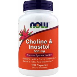 NOW Foods Choline & Inositol 500 Mg 100 Capsules