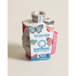 Butterflybom Seedbom Seeds