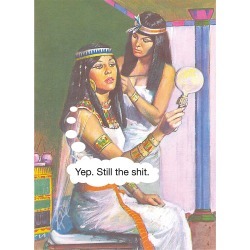Still the Sh*t Mirror Funny Card