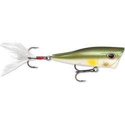 Rapala Arashi Cover Pop