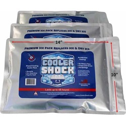 Cooler Shock Reusable Ice Packs, Large, 10" x 14"