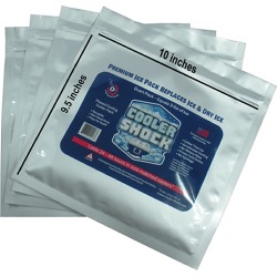 Cooler Shock Reusable Ice Packs, Medium, 10" x 9"