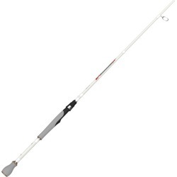 Quantum Accurist Spinning Rod