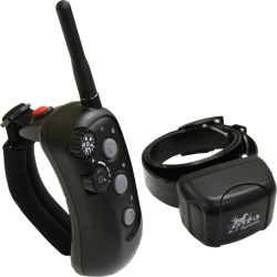 D.T. Systems R.A.P.T. 1400 Remote Dog Training System