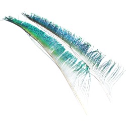 Superfly Peacock Sword