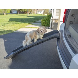 Pet Ramp