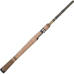 Fenwick Eagle Spinning Rod