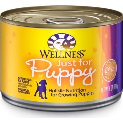 Wellness Complete Health Just For Puppy Recipe Dog Food | 6 oz