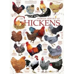 Chicken Quotes
