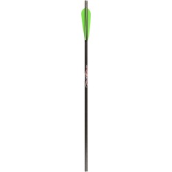 Vanes Carbon Arrows 20 in.