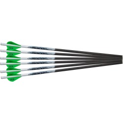 Proflight Arrows - 6 Pack