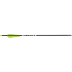 Truex Arrows - 6/PK
