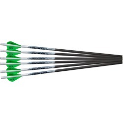 Proflight Arrows - 6/PK