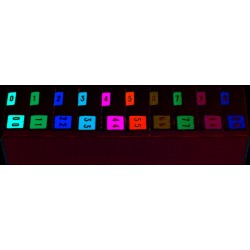 Barkley FNBRM Compatible Numeric Labels, Laminated Stock, 1-1/2" x 1-1/2" Individual Numbers - Roll of 500