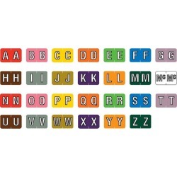 Barkley ABKM Compatible Alpha Labels, Laminated Stock, 1" X 1-1/2" Individual Letters - Roll of 500