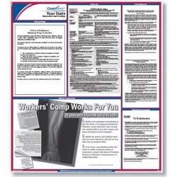 ComplyRight California State Labor Law Poster, 24" x 39", Laminated, (Spanish) - 1 per Pack