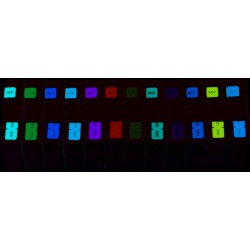 Barkley FMBLM Compatible Month Labels, Laminated Stock,1-1/2" x 3/4", Individual Months - Roll of 250