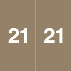 Ames Compatible "21" Yearband Labels, 1-7/8" X 1-7/8" Roll of 500