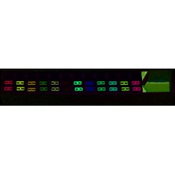 Tab Compatible Month Labels, Vinyl Kimdura Stock, 1" X 1/2", Individual Months - Roll of 1000