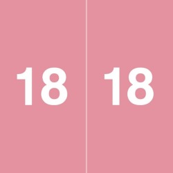 Ames Compatible "18" Yearband Labels, 1-7/8" X 1-7/8" Roll of 500