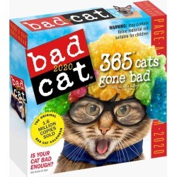 Workman Publishing Bad Cat 2020 Day-to-Day Calendar