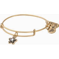 ALEX AND ANI True Wish Charm Bangle | Make a Wish Foundation