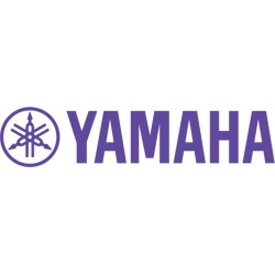 Yamaha FLX 2 Analog POTS Base Station